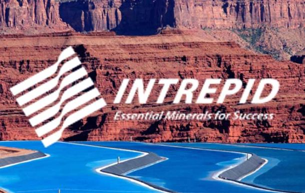 logo intrepid