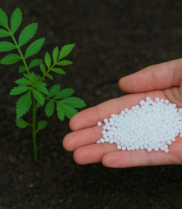 top fertilizantes