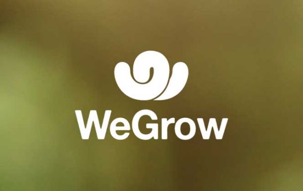 logo wegrow