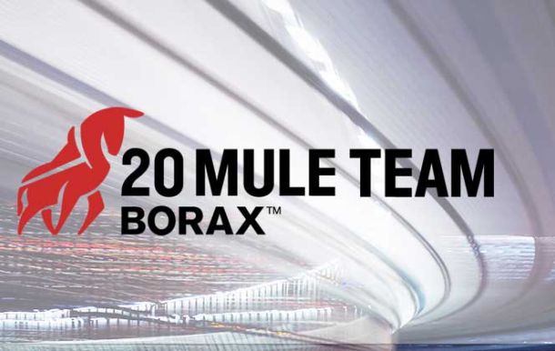 logo us borax